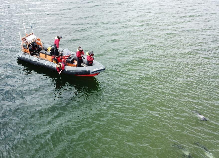 RAIN OR SHINE: DR. MARINA COSTA AND HER DOLPHINS STAYS PROTECTED